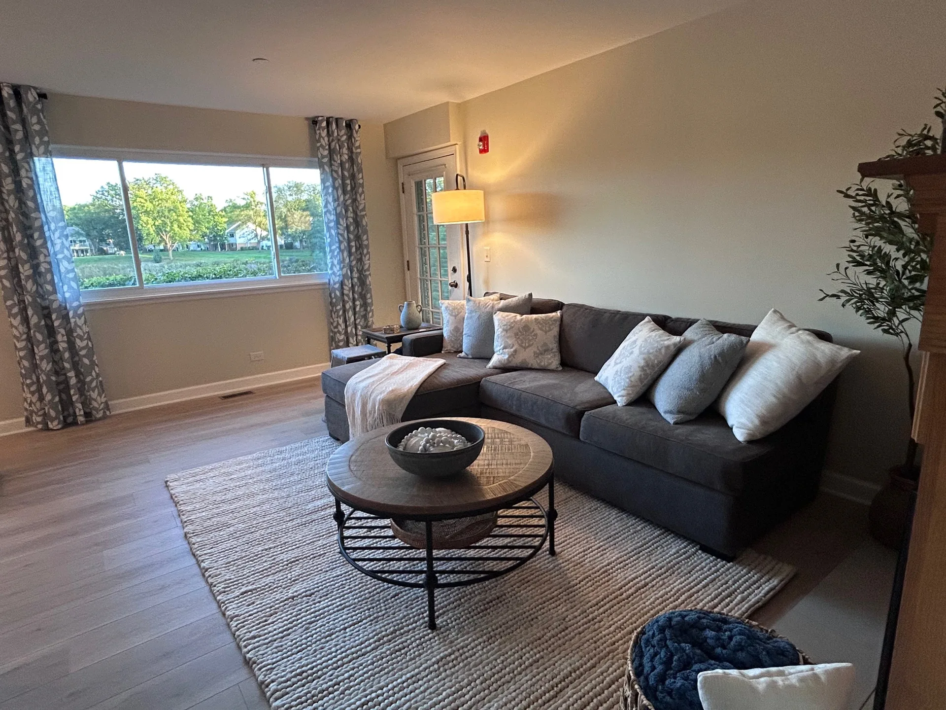 Living room with natural light